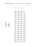 Therapeutic Dosing of a Neuregulin or a Subsequence Thereof for Treatment     or Pro-phylaxis of Heart Failure diagram and image