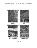 Polypeptides Selective for avB3 Integrin, Including Pegylated     Polypeptides, And Pharmaceutical Uses Thereof diagram and image