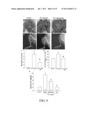 Polypeptides Selective for avB3 Integrin, Including Pegylated     Polypeptides, And Pharmaceutical Uses Thereof diagram and image