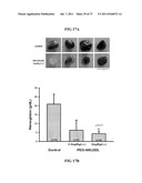 Polypeptides Selective for avB3 Integrin, Including Pegylated     Polypeptides, And Pharmaceutical Uses Thereof diagram and image