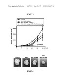 Polypeptides Selective for avB3 Integrin, Including Pegylated     Polypeptides, And Pharmaceutical Uses Thereof diagram and image