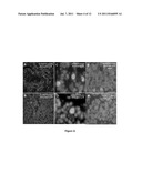 CANCER PLATINUM RESISTANCE DETECTION AND SENSITIZATION METHOD diagram and image