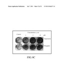 PHARMACEUTICAL COMPOSITION FOR PREVENTION AND/OR TREATMENT OF BONE LOSS diagram and image