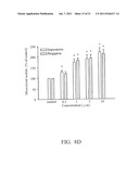 PHARMACEUTICAL COMPOSITION FOR PREVENTION AND/OR TREATMENT OF BONE LOSS diagram and image
