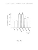 PHARMACEUTICAL COMPOSITION FOR PREVENTION AND/OR TREATMENT OF BONE LOSS diagram and image