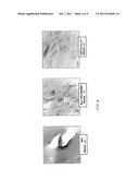 NANOCOMPOSITE COMPRISING EXFOLIATED NANOCLAY-STYRENIC CONCENTRATE AND     METHODS OF PREPARATION diagram and image