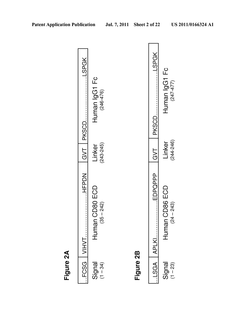 IMMUNOSUPPRESSIVE POLYPEPTIDES AND NUCLEIC ACIDS - diagram, schematic, and image 03