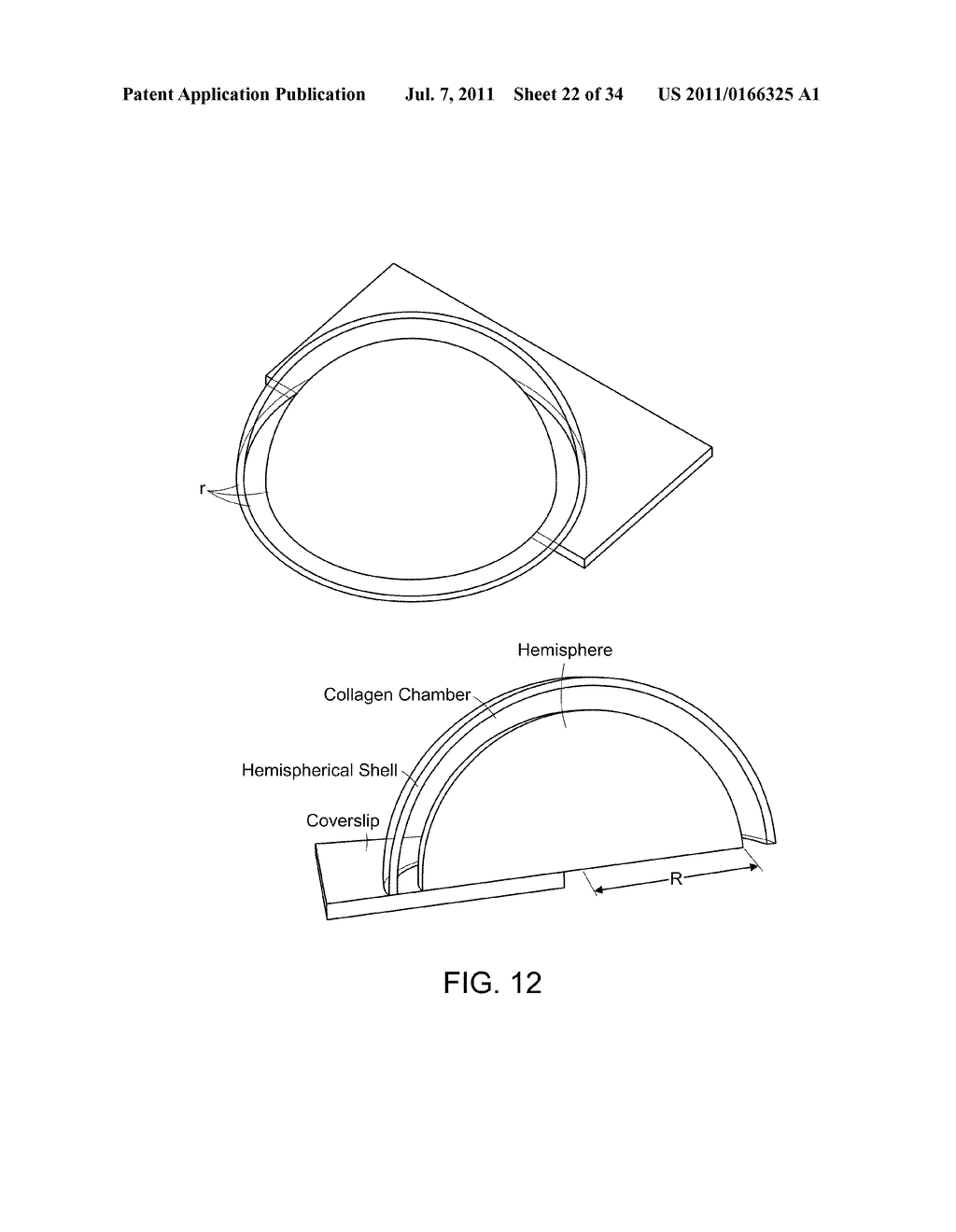 COLLAGEN FIBRILLAR CONSTRUCTION - diagram, schematic, and image 23