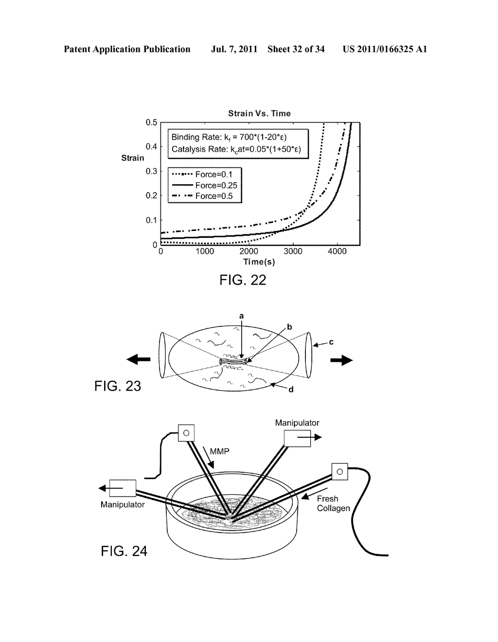 COLLAGEN FIBRILLAR CONSTRUCTION - diagram, schematic, and image 33