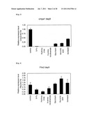 METHOD FOR EVALUATION OF DEVELOPMENTAL TOXICITY diagram and image