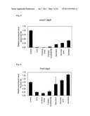 METHOD FOR EVALUATION OF DEVELOPMENTAL TOXICITY diagram and image