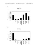 METHOD FOR EVALUATION OF DEVELOPMENTAL TOXICITY diagram and image