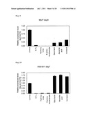 METHOD FOR EVALUATION OF DEVELOPMENTAL TOXICITY diagram and image