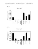 METHOD FOR EVALUATION OF DEVELOPMENTAL TOXICITY diagram and image