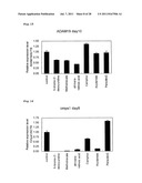 METHOD FOR EVALUATION OF DEVELOPMENTAL TOXICITY diagram and image