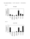 METHOD FOR EVALUATION OF DEVELOPMENTAL TOXICITY diagram and image