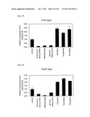 METHOD FOR EVALUATION OF DEVELOPMENTAL TOXICITY diagram and image