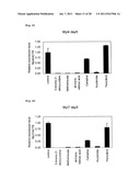 METHOD FOR EVALUATION OF DEVELOPMENTAL TOXICITY diagram and image