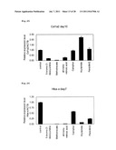 METHOD FOR EVALUATION OF DEVELOPMENTAL TOXICITY diagram and image