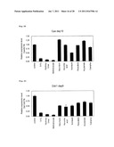 METHOD FOR EVALUATION OF DEVELOPMENTAL TOXICITY diagram and image