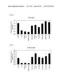 METHOD FOR EVALUATION OF DEVELOPMENTAL TOXICITY diagram and image