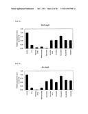 METHOD FOR EVALUATION OF DEVELOPMENTAL TOXICITY diagram and image