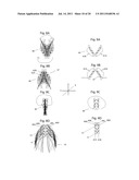 HAIR EXTENSION DEVICE diagram and image