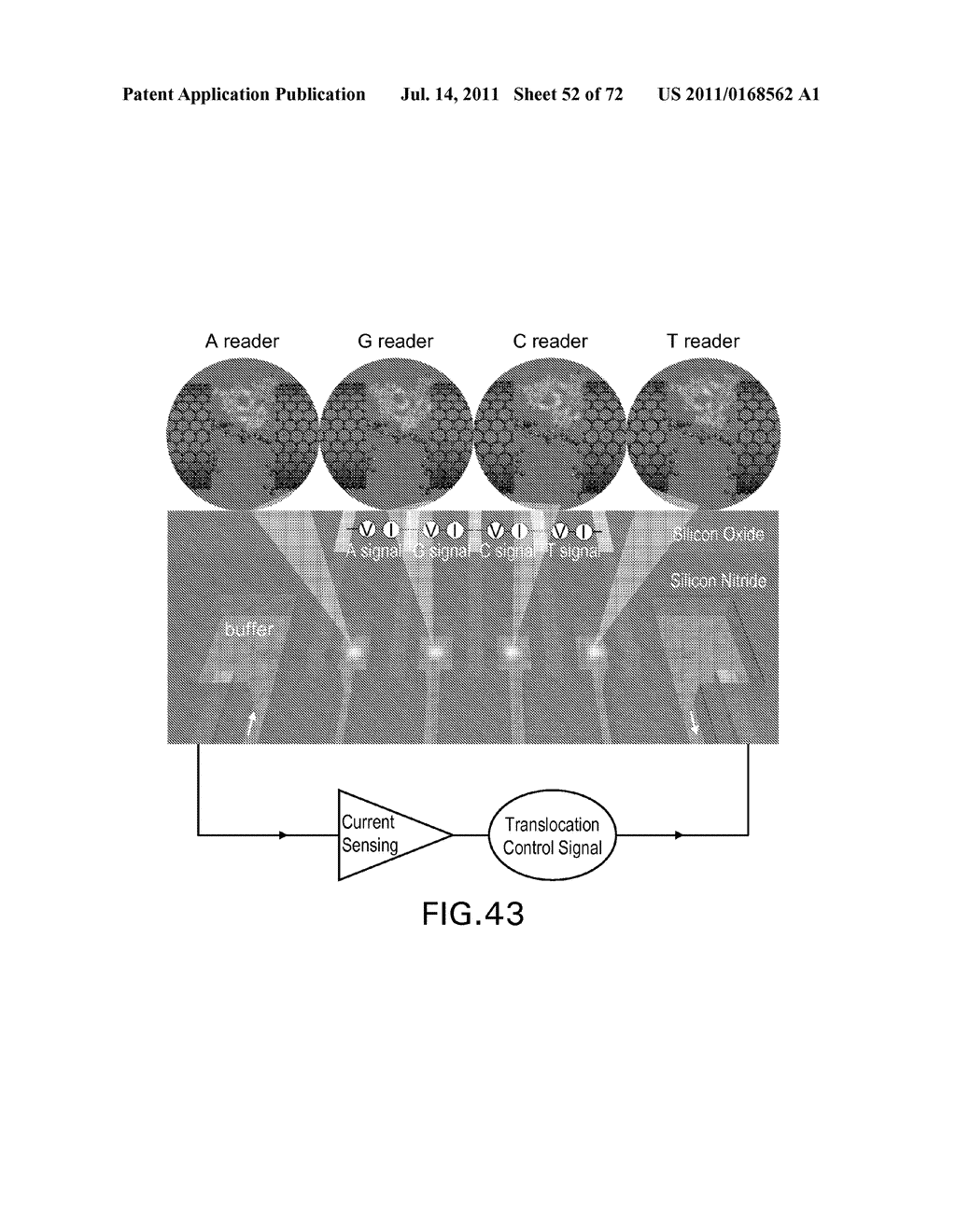 Nanopore and Carbon Nanotube Based DNA Sequencer - diagram, schematic, and image 53