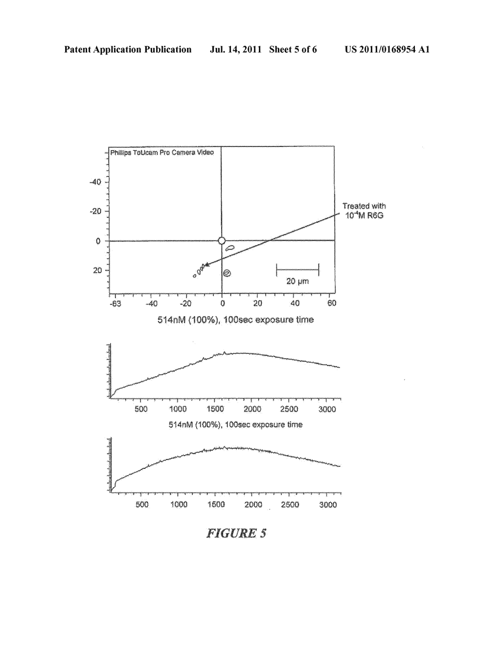 CARBON NANOTUBE BASED COMPOSITE SURFACE ENHANCED RAMAN SCATTERING (SERS)     PROBE - diagram, schematic, and image 06