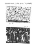 LIGHT EMITTING DIODE WITH HIGH ASPECT RATIO SUBMICRON ROUGHNESS FOR LIGHT     EXTRACTION AND METHODS OF FORMING diagram and image