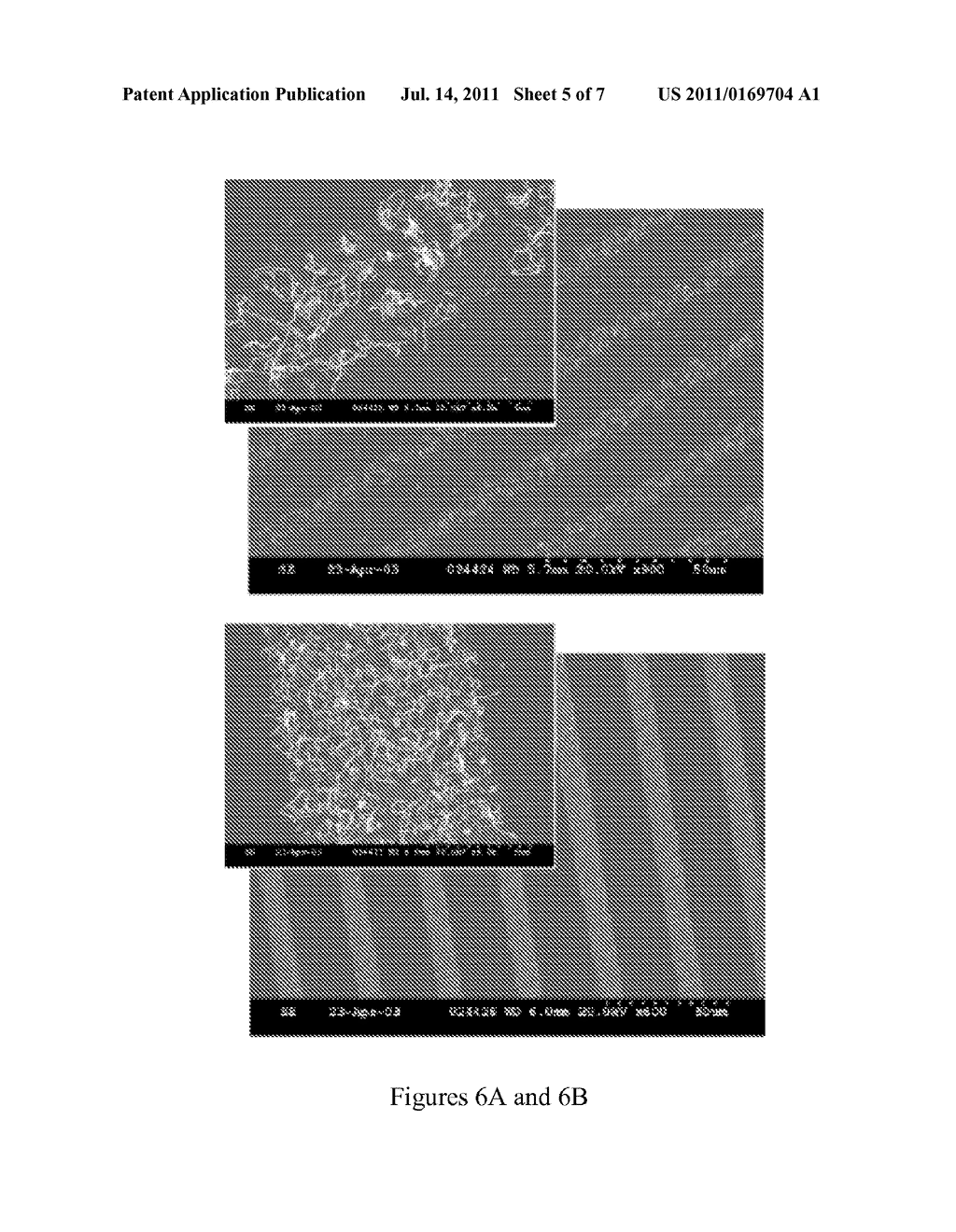 EMBEDDED NANOTUBE ARRAY SENSOR AND METHOD OF MAKING A NANOTUBE POLYMER     COMPOSITE - diagram, schematic, and image 06