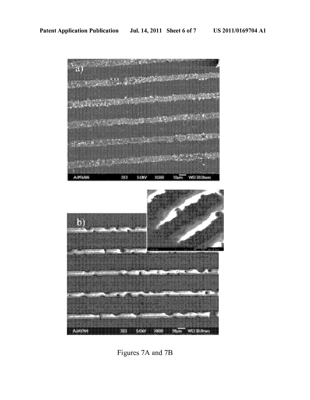 EMBEDDED NANOTUBE ARRAY SENSOR AND METHOD OF MAKING A NANOTUBE POLYMER     COMPOSITE - diagram, schematic, and image 07