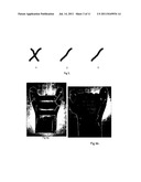 VEIN PATTERN RECOGNITION BASED BIOMETRIC SYSTEM AND METHODS THEREOF diagram and image