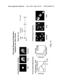 MODE OF ACTION SCREENING METHOD diagram and image