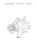 LIGHT EMITTING DEVICE WITH PHOSPHOR WAVELENGTH CONVERSION diagram and image