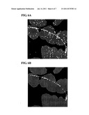 EQUIPMENT AND METHOD FOR ANALYZING IMAGE DATA diagram and image