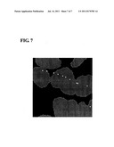 EQUIPMENT AND METHOD FOR ANALYZING IMAGE DATA diagram and image