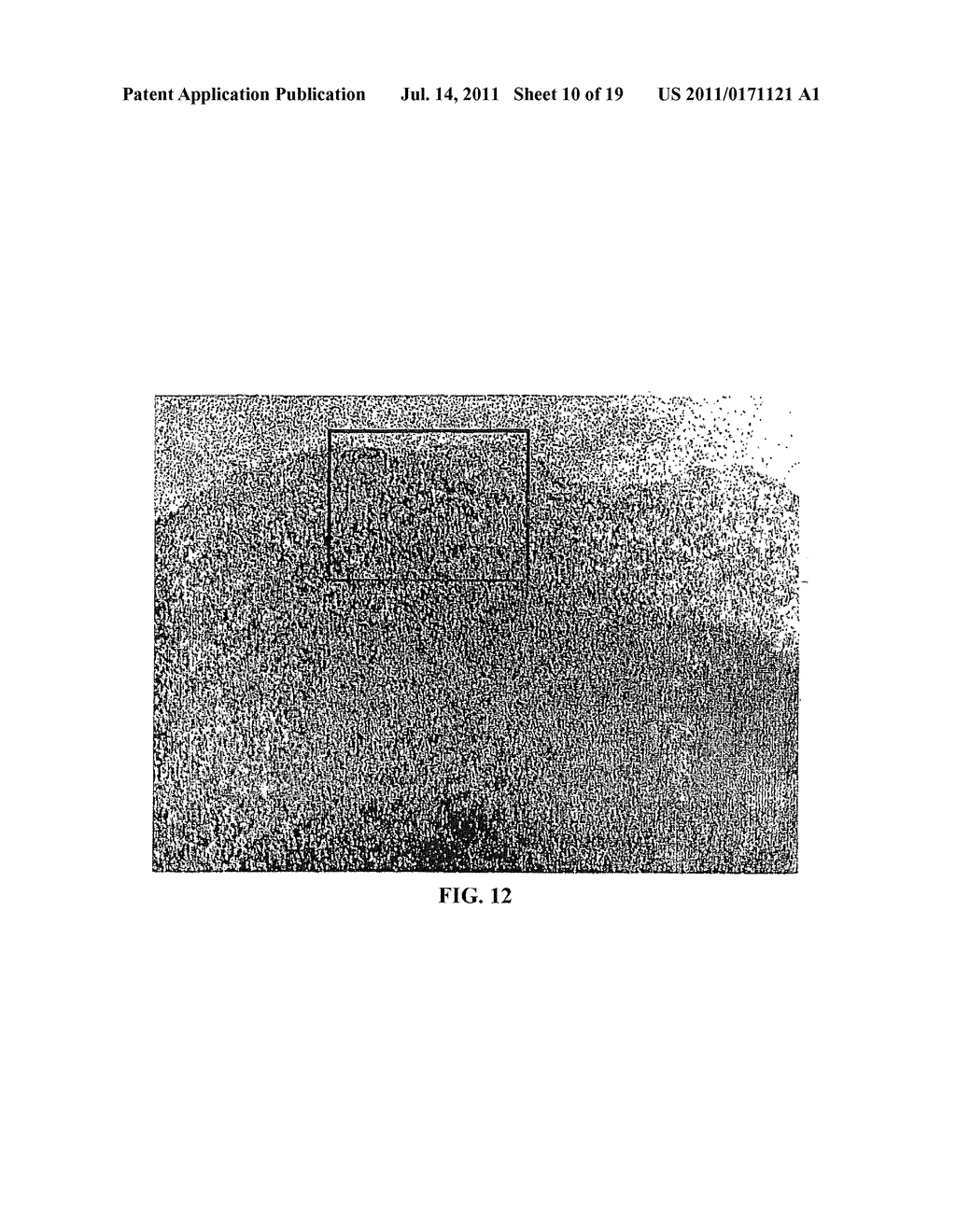 COMPOSITIONS AND METHODS FOR MAKING STABILIZED MESOPOROUS MATERIALS - diagram, schematic, and image 11