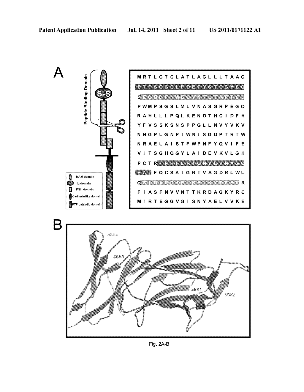 METHODS AND COMPOSITIONS FOR THE DETECTION OF CANCER - diagram, schematic, and image 03