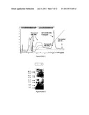 POLYMER CONJUGATES OF KISS1 PEPTIDES diagram and image