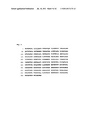 IFN-ALPHA/BETA-INDEPENDENT MECHANISM OF ANTIVIRAL PROTECTION THROUGH A     NOVEL LIGAND-RECEPTOR PAIR: IFN- LIGANDS ENGAGE A NOVEL RECEPTOR IFN-RN     (CRF2-12) AND IL-10R2 (CRF2-4) FOR SIGNALING ANDINDUCTION OF BIOLOGICAL     ACTIVITIES diagram and image