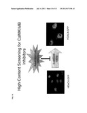 METHODS OF TREATMENT AND USES FOR CAMKII AND ITS INTERACTION WITH HDACS     AND CALPAIN diagram and image