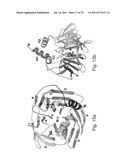 PON POLYPEPTIDES, POLYNUCLEOTIDES ENCODING SAME AND COMPOSITIONS AND     METHODS UTILIZING SAME diagram and image