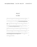 METHODS FOR TREATING PANCREATIC CANCER diagram and image