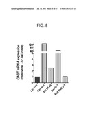 METHODS FOR TREATING PANCREATIC CANCER diagram and image