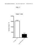 METHODS FOR TREATING PANCREATIC CANCER diagram and image