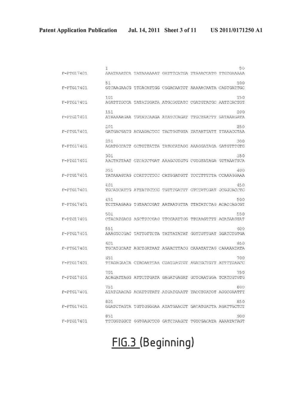 Synthetic Gene Construct Coding for an HIV1 GAG and Use Thereof for     Obtaining Anti-HIV-1 Vaccines - diagram, schematic, and image 04