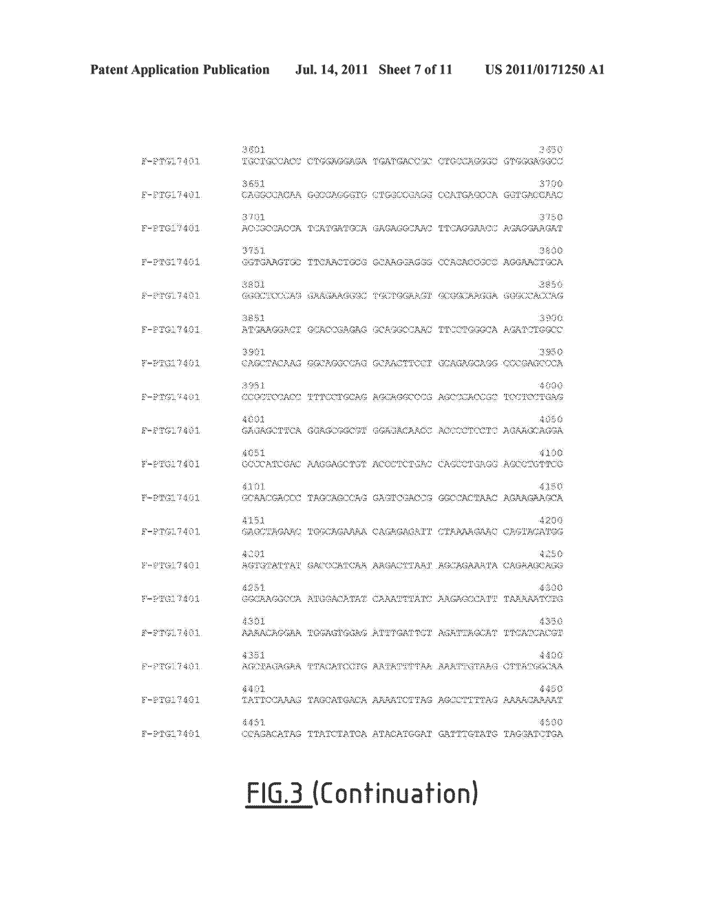 Synthetic Gene Construct Coding for an HIV1 GAG and Use Thereof for     Obtaining Anti-HIV-1 Vaccines - diagram, schematic, and image 08