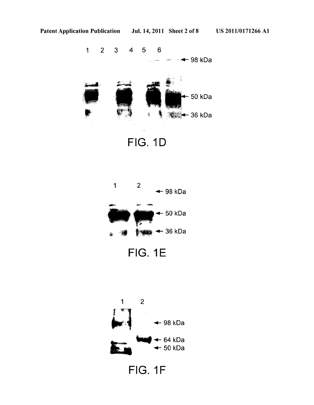 MALARIA VACCINE - diagram, schematic, and image 03