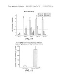 NON-VIRAL COMPOSITIONS AND METHODS FOR TRANSFECTING GUT CELLS IN VIVO diagram and image